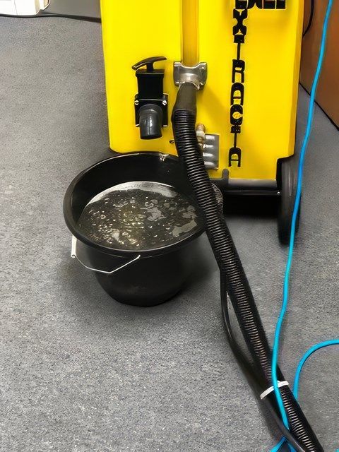 Hot Water Extraction Carpet and Upholstery Cleaning