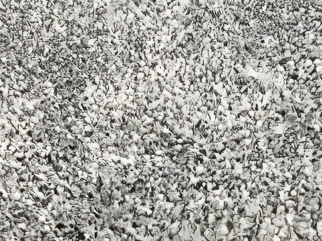 Carpet Repair Services in Nuneaton